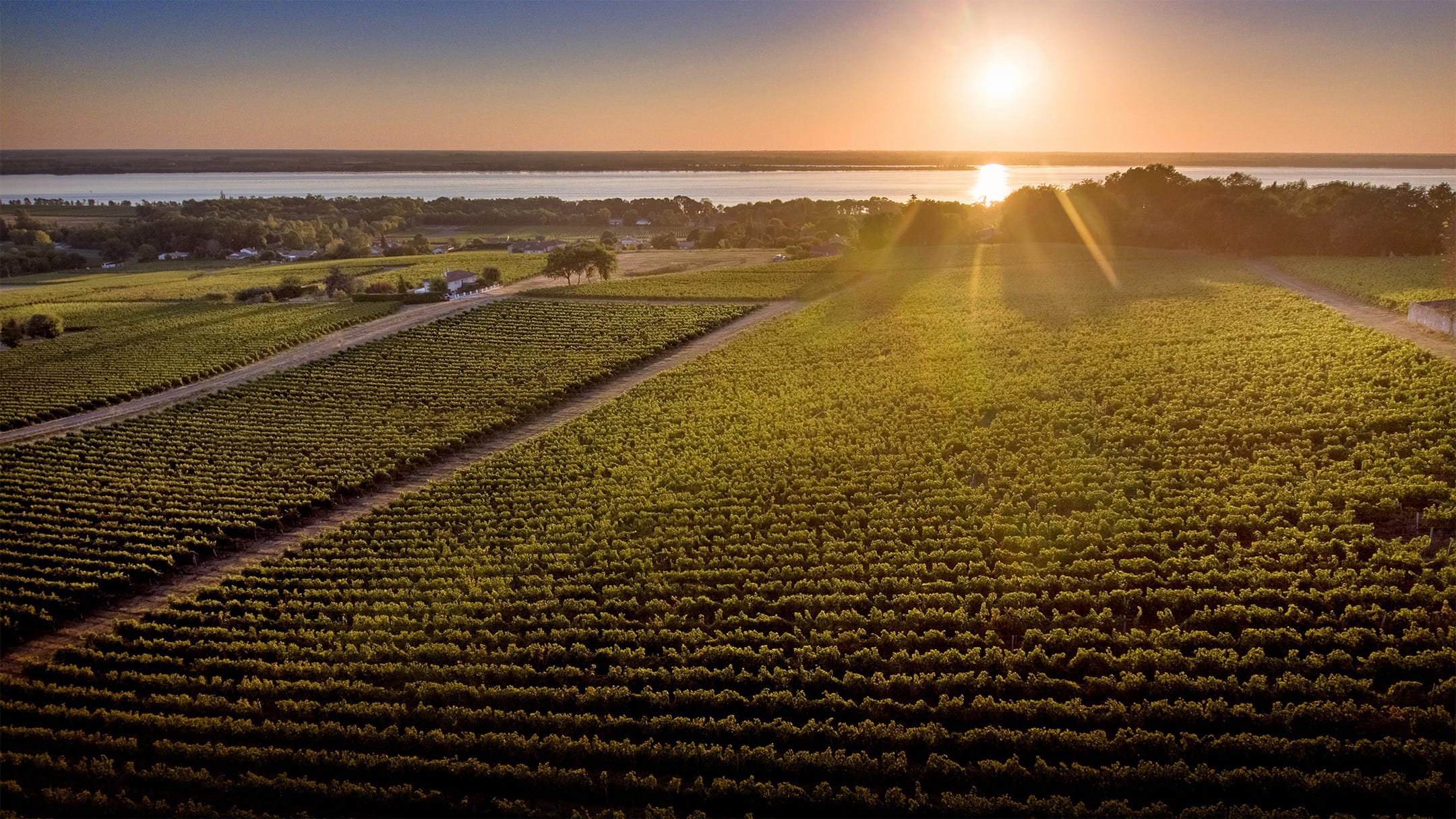 une sélection des plus beaux terroirs