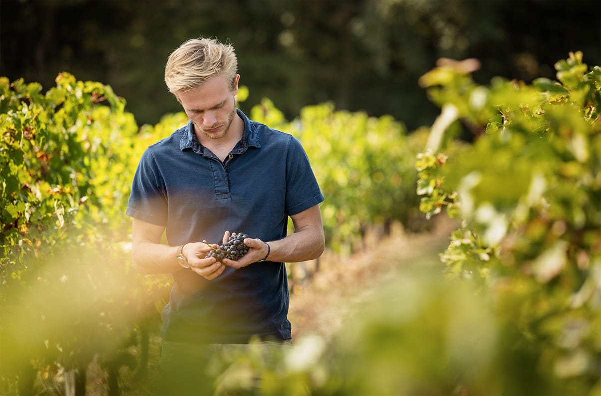 une sélection des plus beaux terroirs