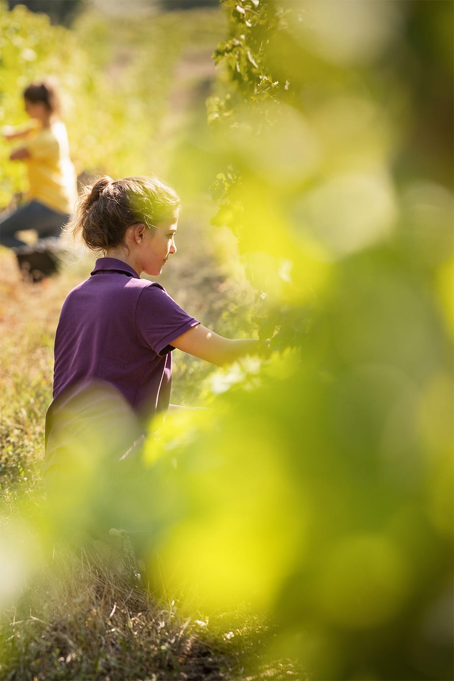 une sélection des plus beaux terroirs